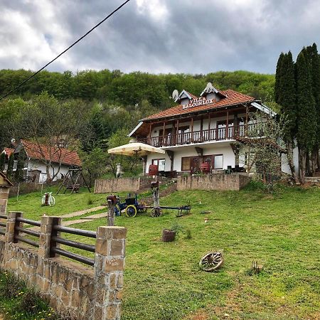 Villa Balconlux - Zavojsko Jezero, Пирот Экстерьер фото