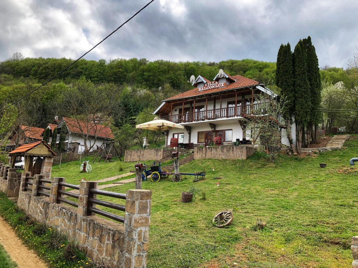 Villa Balconlux - Zavojsko Jezero, Пирот Экстерьер фото